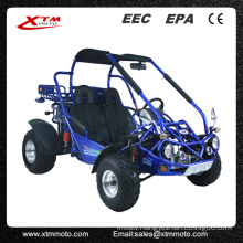 Automatic Differential 300cc 2 Seat Dune Buggy